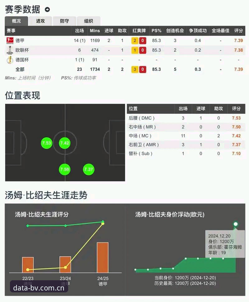 掌握体育数据实时追踪的实用技巧——宝威体育平台深度评测